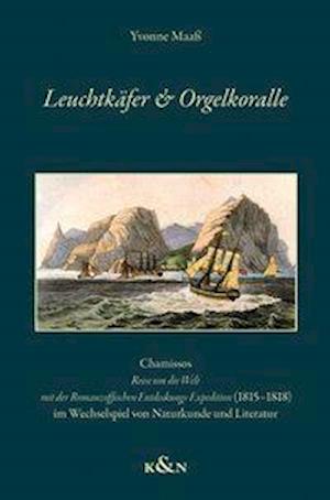 Cover for Maaß · Leuchtkäfer &amp; Orgelkoralle (Book)