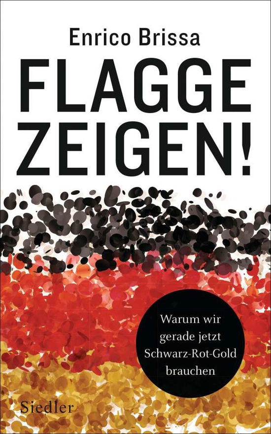 Cover for Brissa · Flagge zeigen! (Book)