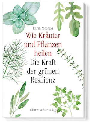 Cover for Karin Mecozzi · Wie Kräuter und Pflanzen heilen (Book) (2024)