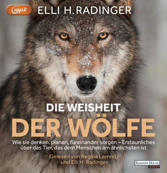 Cover for Radinger · Die Weisheit der Wölfe (Book) (2019)