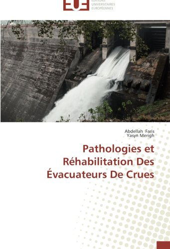 Cover for Yasyn Merigh · Pathologies et Réhabilitation Des Évacuateurs De Crues (Paperback Book) [French edition] (2018)