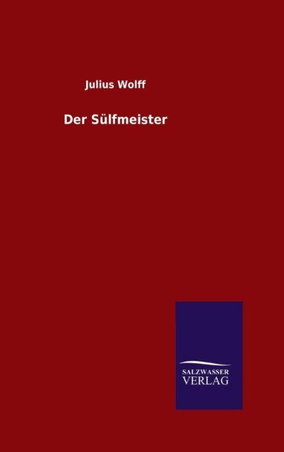 Cover for Julius Wolff · Der Sülfmeister (Hardcover Book) [German edition] (2014)