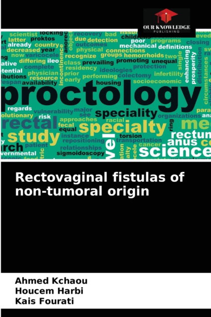 Cover for Ahmed Kchaou · Rectovaginal fistulas of non-tumoral origin (Paperback Book) (2021)