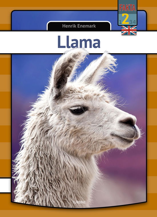 My first book: Llama - Henrik Enemark - Bøger - Turbine - 9788740670332 - 7. juli 2021