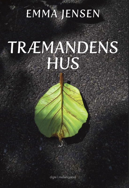 Cover for Emma Jensen · Træmandens hus (Hæftet bog) [1. udgave] (2025)