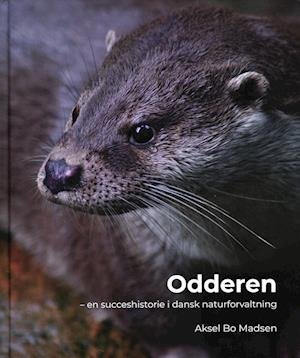 Cover for Aksel Bo Madsen · Odderen (Hardcover bog) [1. udgave] (2023)