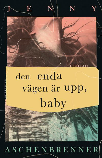 Jenny Aschenbrenner · Den enda vägen är upp, baby (Hardcover Book) (2025)