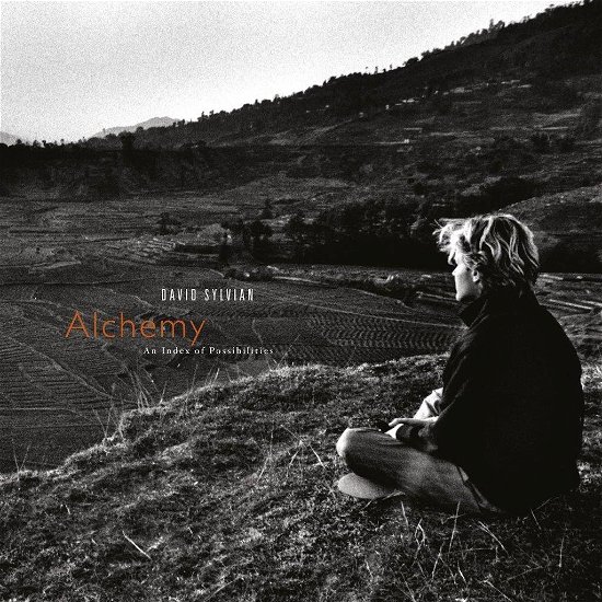 Cover for David Sylvian · Alchemy: an Index of Possibilities (LP) (2019)