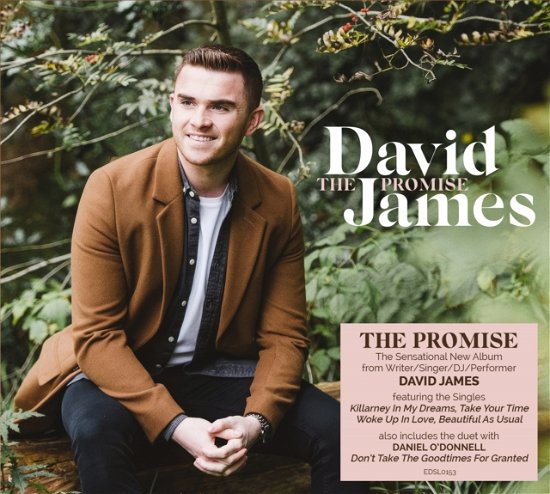 The Promise - David James - Musiikki - CRIMSON - 0740155735333 - perjantai 12. toukokuuta 2023