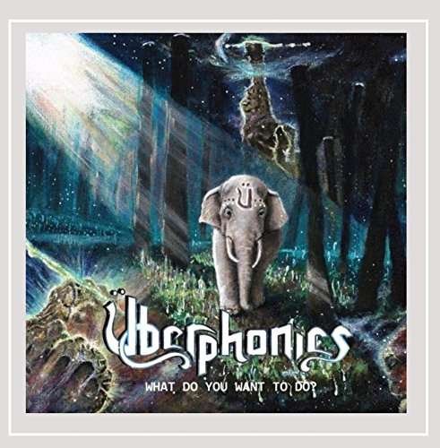 Cover for Uberphonics · What Do You Want to Do (CD) (2016)