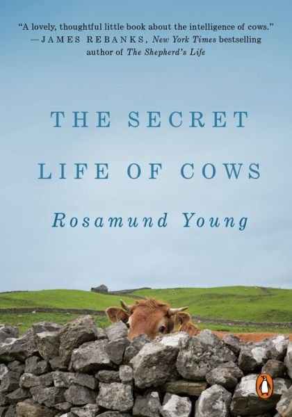 Cover for Rosamund Young · Secret Life of Cows (Bok) (2020)