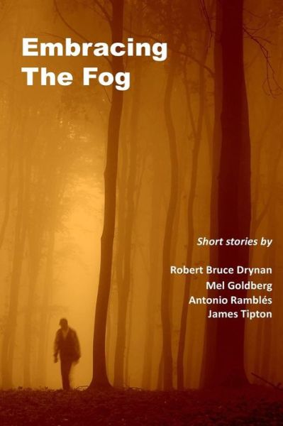 Cover for Mel Goldberg · Embracing the Fog (Paperback Book) (2015)