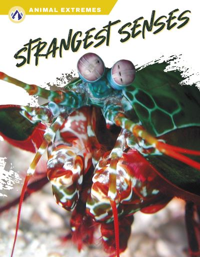 Cover for Ashley Gish · Strangest Senses (Book) (2023)