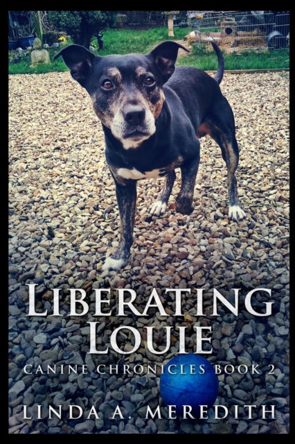 Cover for Linda a Meredith · Liberating Louie (Paperback Book) (2021)