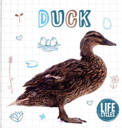 Cover for Shalini Vallepur · Duck - Life Cycles (Hardcover Book) (2019)