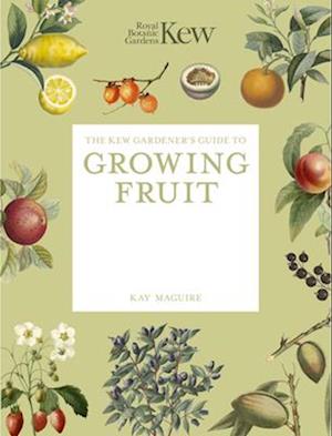 Cover for Kay Maguire · The Kew Gardener's Guide to Growing Fruit: Paperback reissue (Paperback Book) (2026)
