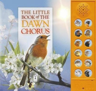Cover for Caz Buckingham · The Little Book of the Dawn Chorus (Kartonbuch) (2018)