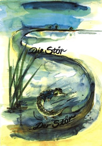 Cover for H a Becker · Die Stoer Der Stoer (Paperback Bog) [German edition] (2002)