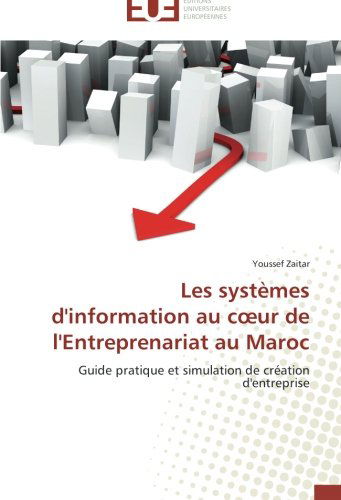 Cover for Youssef Zaitar · Les Systèmes D'information Au Coeur De L'entreprenariat Au Maroc: Guide Pratique et Simulation De Création D'entreprise (Paperback Book) [French edition] (2018)