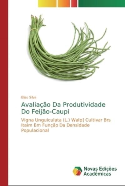 Cover for Silva · Avaliação Da Produtividade Do Fei (Book) (2018)