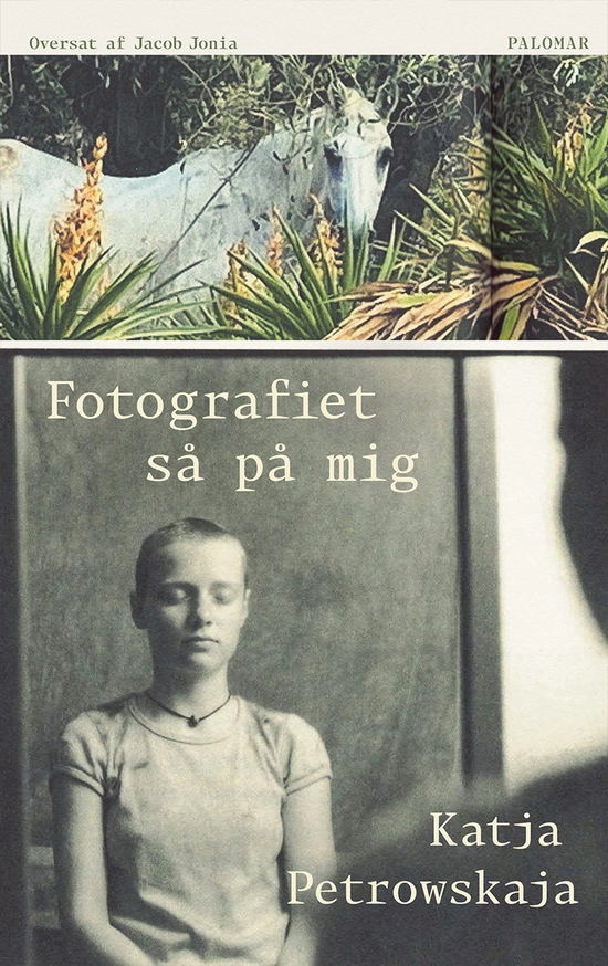 Cover for Katja Petrowskaja · Fotografiet så på mig (Heftet bok) [1. utgave] (2024)