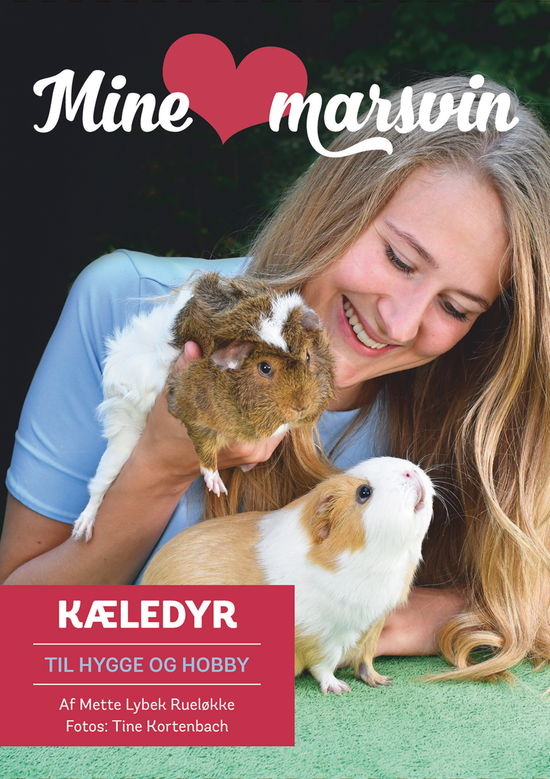 Cover for Mette Lybek Rueløkke · Jeg elsker mine kæledyr: Mine marsvin (Paperback Book) [1. Painos] (2018)