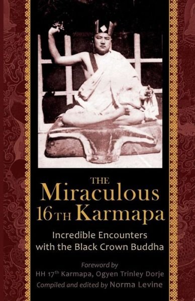 Cover for Naomi Levine · The Miraculous 16th Karmapa (Paperback Book) (2013)