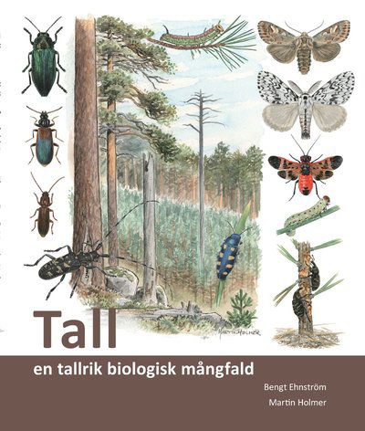 Cover for Bengt Ehnström · CBM:s skriftserie: Tall : en tallrik biologisk mångfald (Book) (2020)