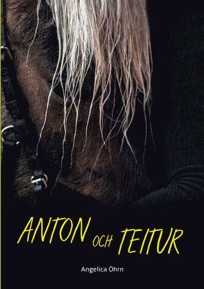 Cover for Angelica Öhrn · Anton och Teitur (Paperback Book) [Ned edition] (2017)