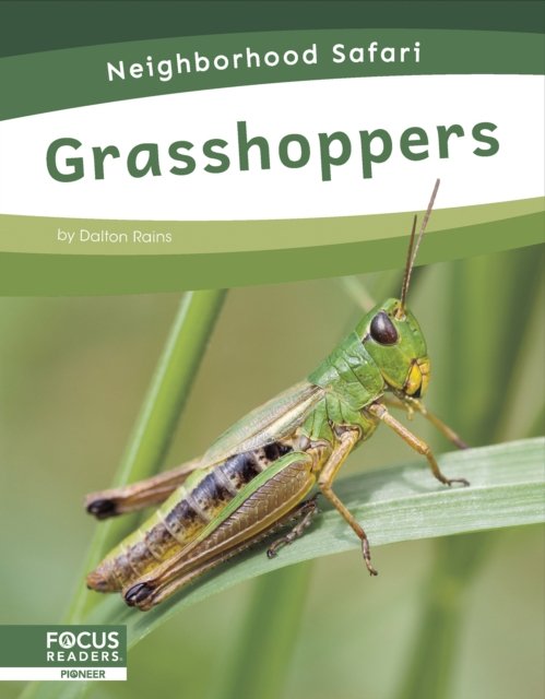 Cover for Dalton Rains · Grasshoppers - Neighborhood Safari Set 2 (Paperback Book) (2024)