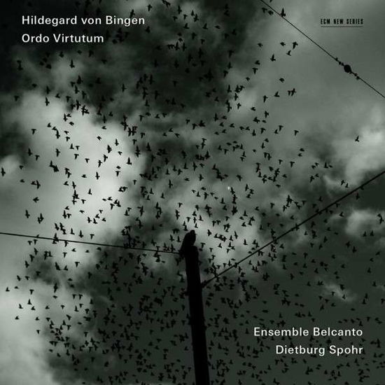Cover for Ensemble Belcanto &amp; Dietburg Spohr · Hildegard Von Bingen: Ordo Virtutum (CD) (2013)