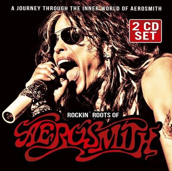 Rockin´Roots of Aerosmith - Aerosmith - Muziek - Spv - 9443817835334 - 27 november 2015