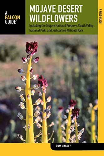 Cover for Pam Mackay · Mojave Desert Wildflowers: A Field Guide To Wildflowers, Trees, And Shrubs Of The Mojave Desert, Including The Mojave National Preserve, Death Valley National Park, And Joshua Tree National Park - Wildflower Series (Taschenbuch) [Second edition] (2013)