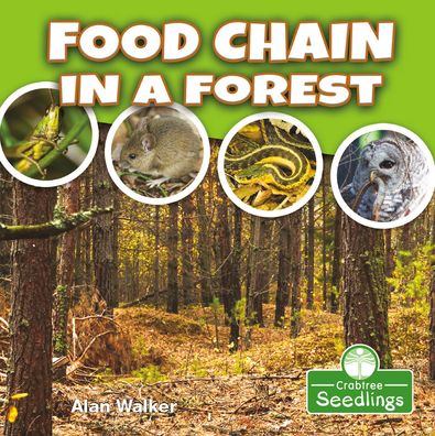 Food Chain in a Forest - Alan Walker - Livros - Crabtree Publishing Co,US - 9781427130334 - 2021