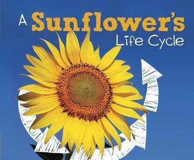 Cover for Mary R. Dunn · A Sunflower's Life Cycle - Explore Life Cycles (Paperback Book) (2018)