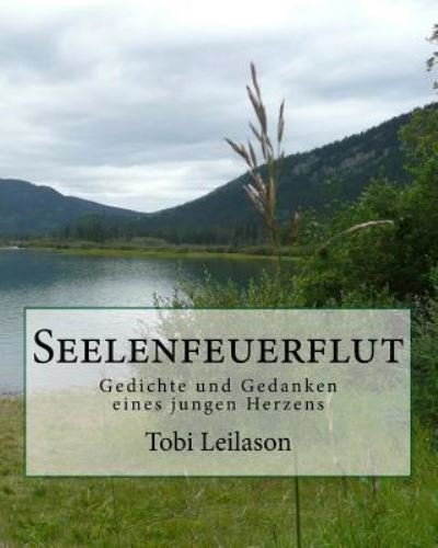 Cover for Tobi Leilason · Seelenfeuerflut (Paperback Bog) (2016)