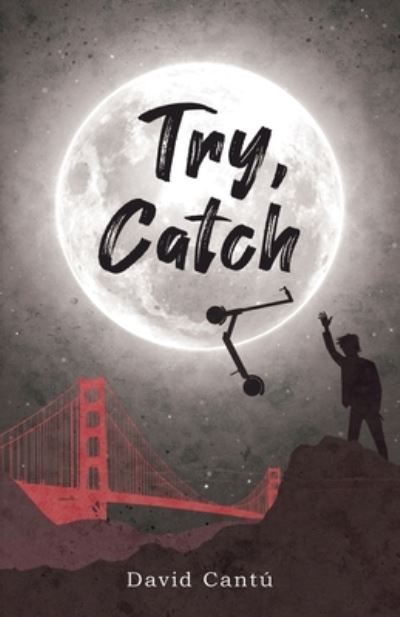 Try, Catch - David Cantú - Bücher - New Degree Press - 9781636765334 - 15. Dezember 2020