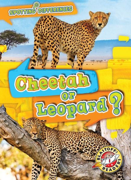 Cheetah or Leopard - Kirsten Chang - Książki - Bellwether Media - 9781644870334 - 1 sierpnia 2019