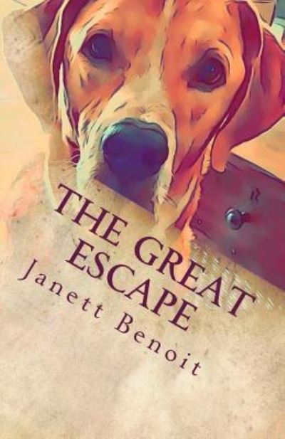 The Great Escape - David Benoit - Boeken - Createspace Independent Publishing Platf - 9781724408334 - 10 september 2018