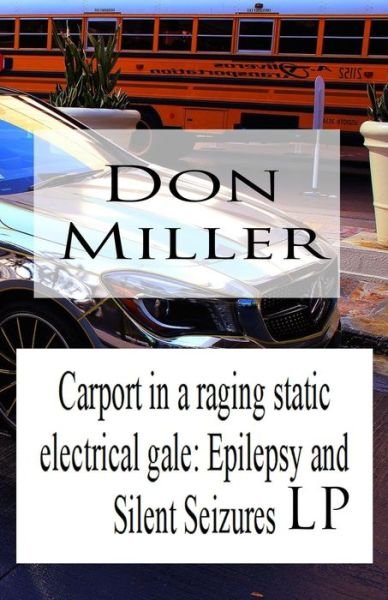 Carport in a Raging Static Electrical Gale - Don Miller - Kirjat - Independently Published - 9781729180334 - keskiviikko 24. lokakuuta 2018