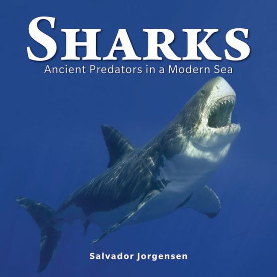 Cover for Salvador Jorgensen · Sharks: Ancient Predators in a Modern Sea (Gebundenes Buch) (2013)