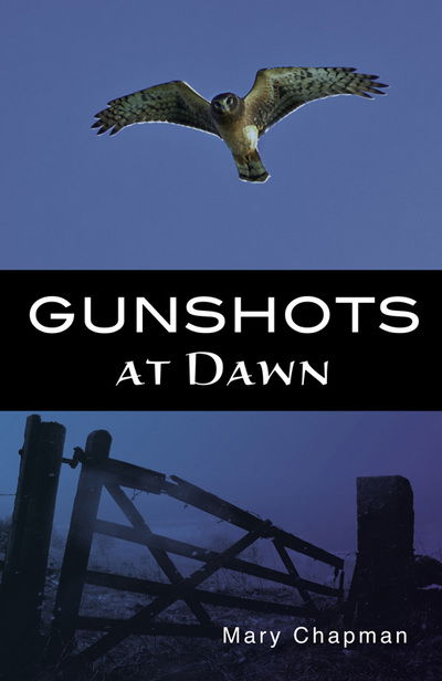 Cover for Chapman Mary · Gunshots at Dawn - Shades (Paperback Book) (2014)