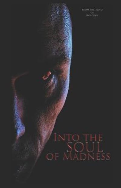 Cover for Rob Seyk · Into the Soul of Madness (Paperback Book) (2019)