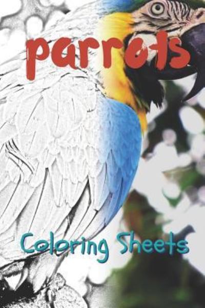 Cover for Julian Smith · Parrot Coloring Sheets (Pocketbok) (2019)