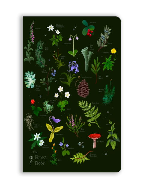 Cover for Anna Stead: The Forest Floor (Soft Touch Journal) - Flame Tree Soft Touch Journals (Skrivemateriell) (2026)