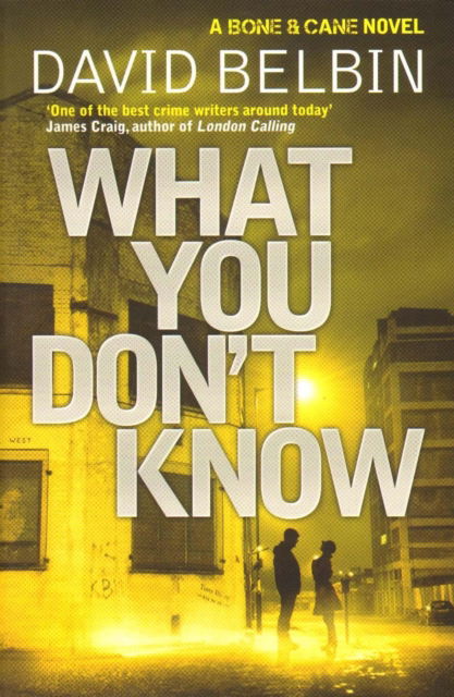 Cover for David Belbin · What You Don't Know (Paperback Book) [Main edition] (2012)