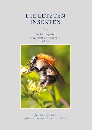 Cover for Werner Geissmann · Die letzten Insekten (Hardcover Book) (2021)