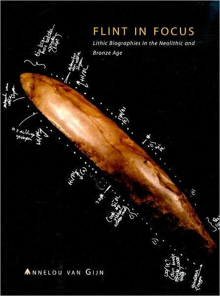 Flint in Focus - A. L. Van Gijn - Books - Sidestone Press - 9789088900334 - November 11, 2009