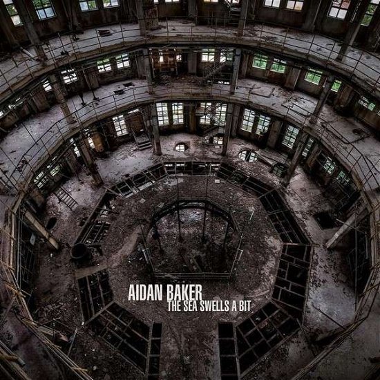 Cover for Aidan Baker · Sea Swells A Bit (LP) (2015)