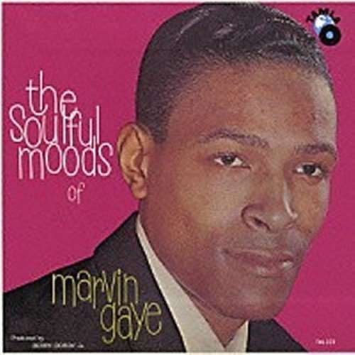 Soulful Moods of Marvin Gaye - Marvin Gaye - Music - UNIVERSAL - 4988005782335 - October 22, 2013